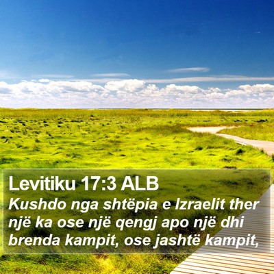 Levitiku 17:3 ALB Bible Verse Image