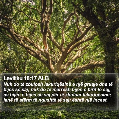 Levitiku 18:17 ALB Bible Verse Image