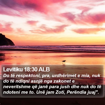 Levitiku 18:30 ALB Bible Verse Image