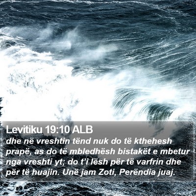 Levitiku 19:10 ALB Bible Verse Image