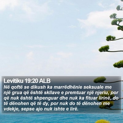 Levitiku 19:20 ALB Bible Verse Image