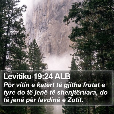 Levitiku 19:24 ALB Bible Verse Image