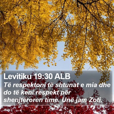 Levitiku 19:30 ALB Bible Verse Image