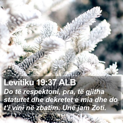 Levitiku 19:37 ALB Bible Verse Image