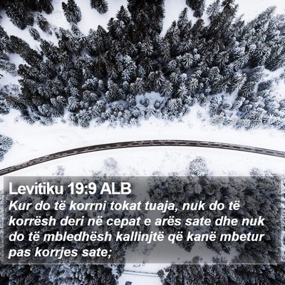 Levitiku 19:9 ALB Bible Verse Image