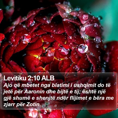 Levitiku 2:10 ALB Bible Verse Image