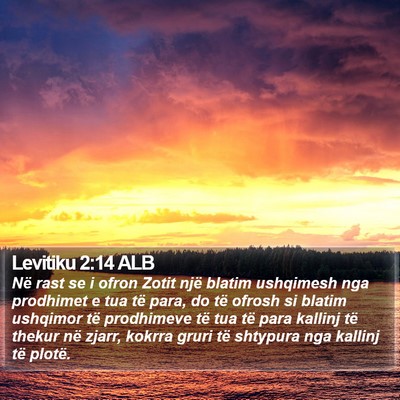 Levitiku 2:14 ALB Bible Verse Image
