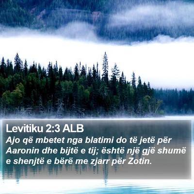 Levitiku 2:3 ALB Bible Verse Image