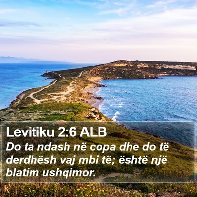 Levitiku 2:6 ALB Bible Verse Image