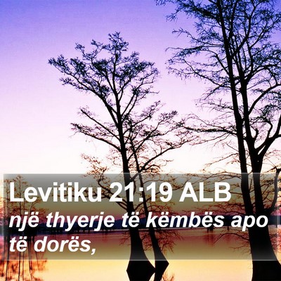 Levitiku 21:19 ALB Bible Verse Image