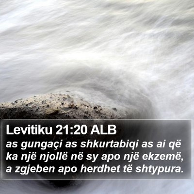 Levitiku 21:20 ALB Bible Verse Image