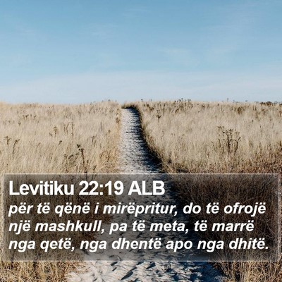 Levitiku 22:19 ALB Bible Verse Image