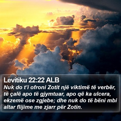 Levitiku 22:22 ALB Bible Verse Image