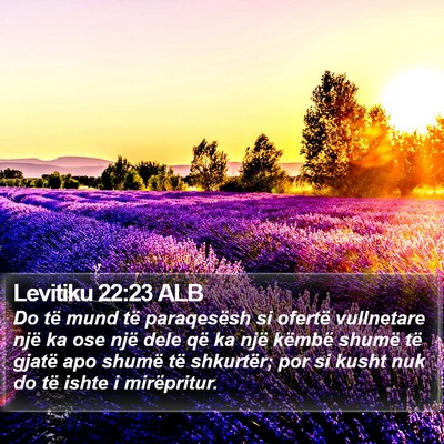 Levitiku 22:23 ALB Bible Verse Image