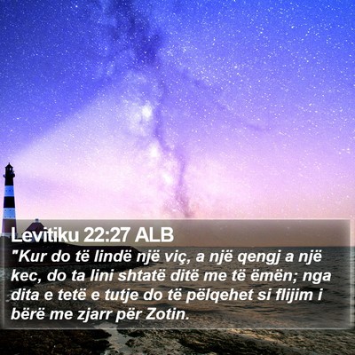 Levitiku 22:27 ALB Bible Verse Image