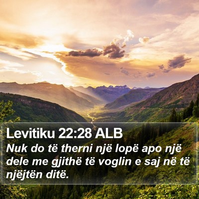 Levitiku 22:28 ALB Bible Verse Image