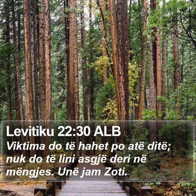 Levitiku 22:30 ALB Bible Verse Image