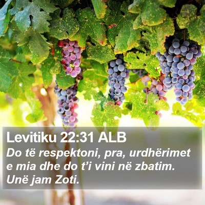 Levitiku 22:31 ALB Bible Verse Image
