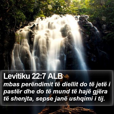 Levitiku 22:7 ALB Bible Verse Image