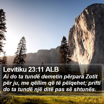 Levitiku 23:11 ALB Bible Verse Image