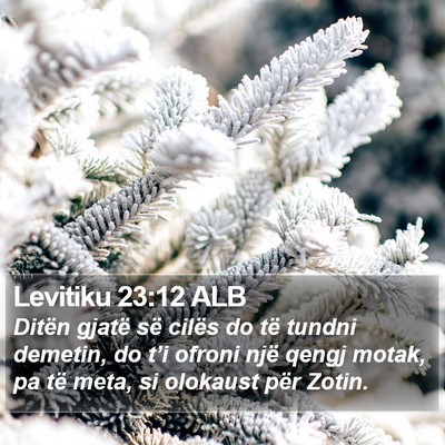 Levitiku 23:12 ALB Bible Verse Image