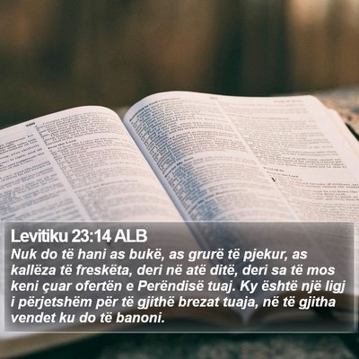 Levitiku 23:14 ALB Bible Verse Image
