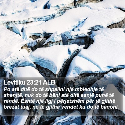 Levitiku 23:21 ALB Bible Verse Image