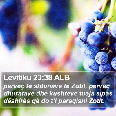 Levitiku 23:38 ALB Bible Verse Image