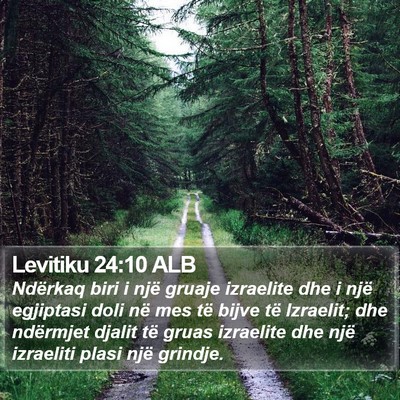 Levitiku 24:10 ALB Bible Verse Image