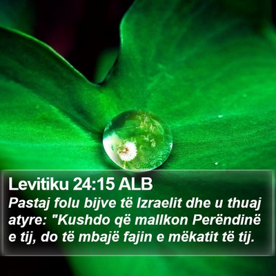 Levitiku 24:15 ALB Bible Verse Image