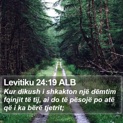 Levitiku 24:19 ALB Bible Verse Image