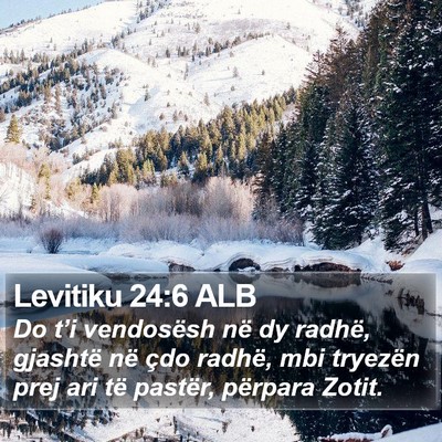 Levitiku 24:6 ALB Bible Verse Image