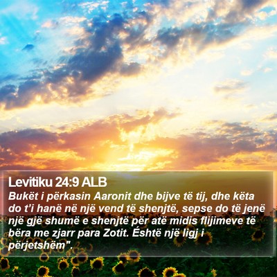 Levitiku 24:9 ALB Bible Verse Image