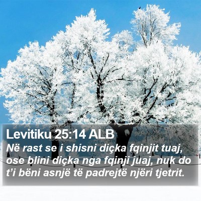 Levitiku 25:14 ALB Bible Verse Image