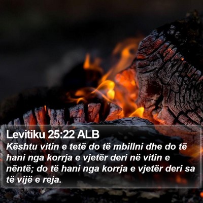 Levitiku 25:22 ALB Bible Verse Image