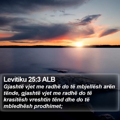 Levitiku 25:3 ALB Bible Verse Image