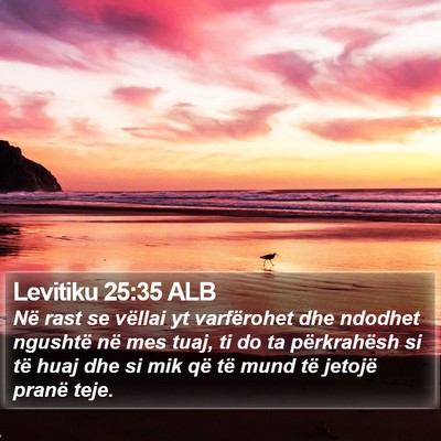 Levitiku 25:35 ALB Bible Verse Image