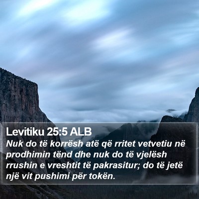 Levitiku 25:5 ALB Bible Verse Image
