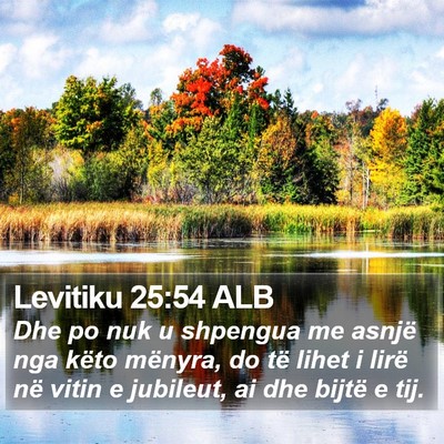Levitiku 25:54 ALB Bible Verse Image