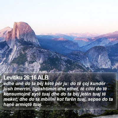 Levitiku 26:16 ALB Bible Verse Image