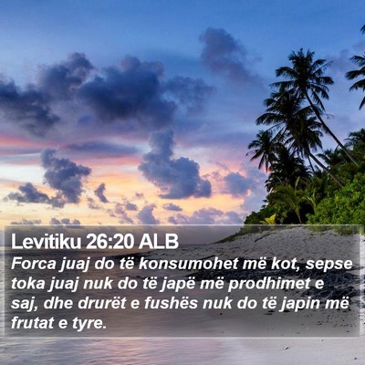 Levitiku 26:20 ALB Bible Verse Image