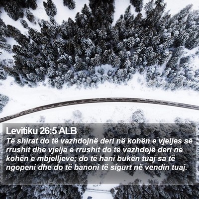 Levitiku 26:5 ALB Bible Verse Image