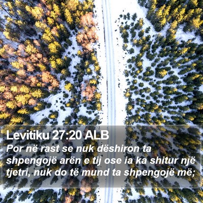 Levitiku 27:20 ALB Bible Verse Image