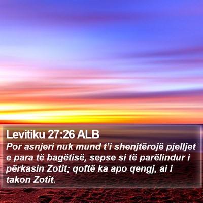 Levitiku 27:26 ALB Bible Verse Image