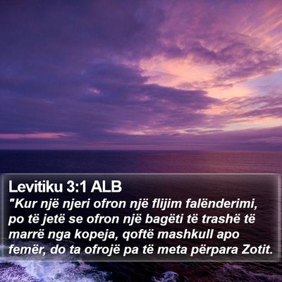 Levitiku 3:1 ALB Bible Verse Image