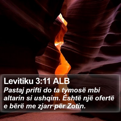 Levitiku 3:11 ALB Bible Verse Image