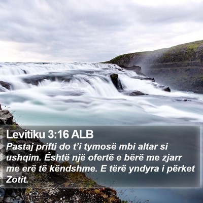 Levitiku 3:16 ALB Bible Verse Image