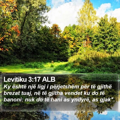 Levitiku 3:17 ALB Bible Verse Image
