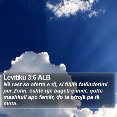 Levitiku 3:6 ALB Bible Verse Image