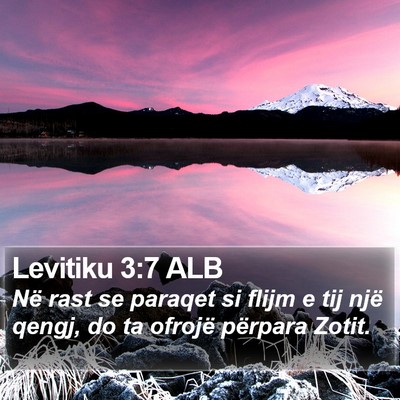 Levitiku 3:7 ALB Bible Verse Image